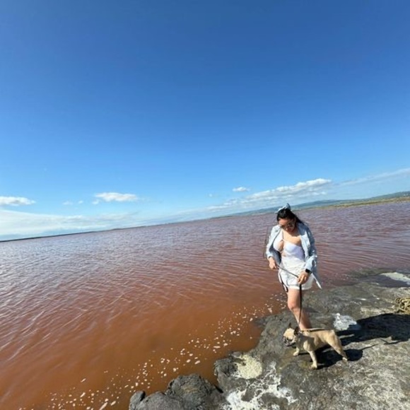 Meet your Posher, Paola - Picture 1 of 1